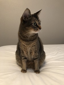 Suzanne