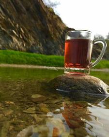 فراشة ذهبية