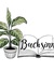 buchsinn