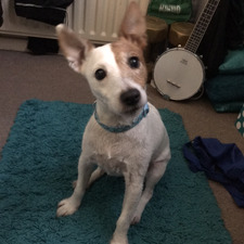 Lisas Books, Gems and Tarot