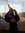 Dyo | 5 comments