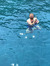 Alper S...