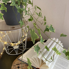 janas_world_ of_books