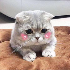 Minhh Ngânn