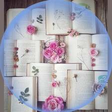 Silvia Lectora empedernida