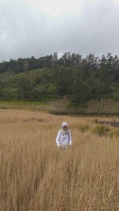 Vara