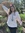 Rachel Rosenfield (rachelrose14) | 1 comments