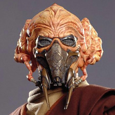 Hayden