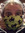 member photo member photo