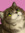 LittleMew | 32 comments