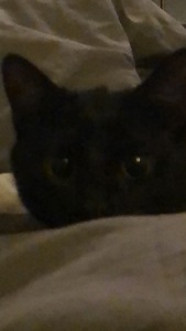 Nadia