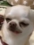 Kami