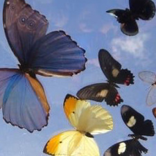 &#x1f49c;&#x1f49c;&#x1f49c; 