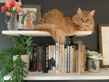 Maggie Darnell-Schiebner