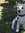 Eliana | 13 comments