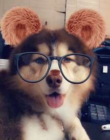 Dan Dan H