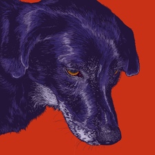 Maddy