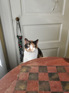 Lucy