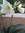 Eman Fawzy | 2 comments