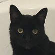 Zoe