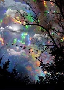 Alysha Stratton-ross