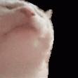 jim