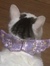 Katherine