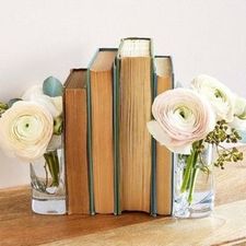 Nikole (literarily_occupied)