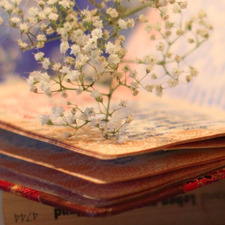 Κατερινα Κολλια