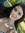 Beth