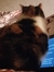 Marsha