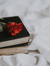 BooksAndBlueCookies