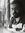 Mohamed Hussien | 1 comments