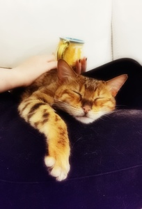 Karen