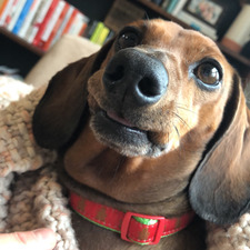 Lexi S.