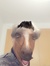 Irpo
