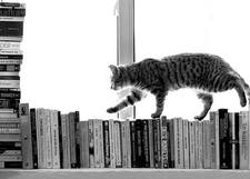 Αγγέλα Γαβρίλη