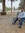 Atef