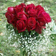 Eng. Hagar