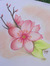 Yangche...