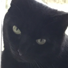 Dianna