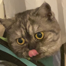 Magdalena Kaczmarczyk