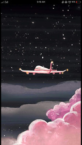 فاطمة الحبشي