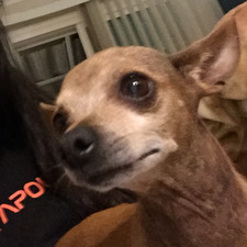 Leslie