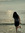 Sampada (sampada_02) | 9 comments
