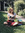 Nienke Vermaat | 3 comments