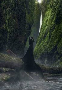 Kathe Scire