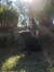 Raeanne