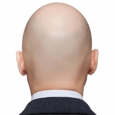 Bald Guy