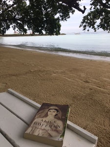 Ava (jeepneylit)